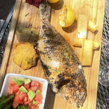 Aji 10 Latin Cuisine - Latin American Near Me - Norwalk, Connecticut