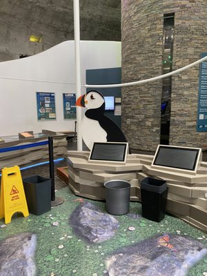 Cliffs of Moher Experience by null