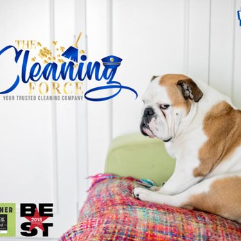 The Cleaning Force - Home Cleaning Near Me - McKinney, Texas