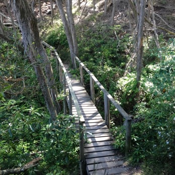Djirringanj People's Walk - Walking Tours Near Me - Merimbula, NSW