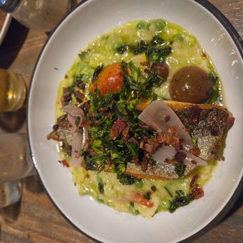 Amici - Trout risotto - Italian Near Me - Maryville, Tennessee Amici - Trout risotto - Italian Near Me - Maryville, Tennessee