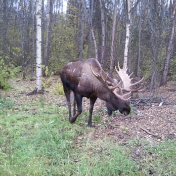 Wrangell-St. Elias Tours - Tours Near Me Wrangell-St. Elias Tours - Tours Near Me