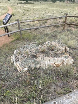 Florissant Fossil Beds National Monument by null