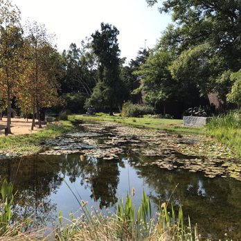 Norton Simon Museum - Breathtaking views of the grounds at the Norton Simon museum. - Art Museums Near Me - Pasadena, California