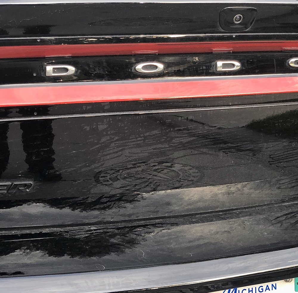 PAUL’S CLAWSON AUTO WASH 20 Photos & 80 Reviews 1339 W 14 Mile Rd