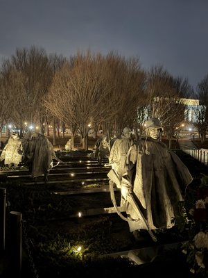 USA Guided Tours by null