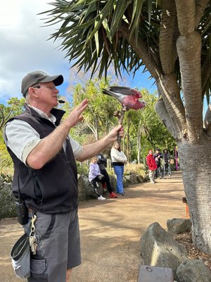 Auckland Zoo by null