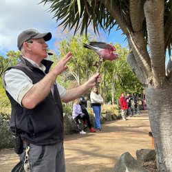 Auckland Zoo