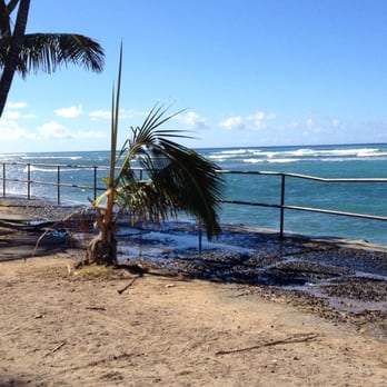 Makalei Beach Park - Poor coconut tree...battered by the "elements" - Parks Near Me - Honolulu, Hawaii Makalei Beach Park - Poor coconut tree...battered by the "elements" - Parks Near Me - Honolulu, Hawaii