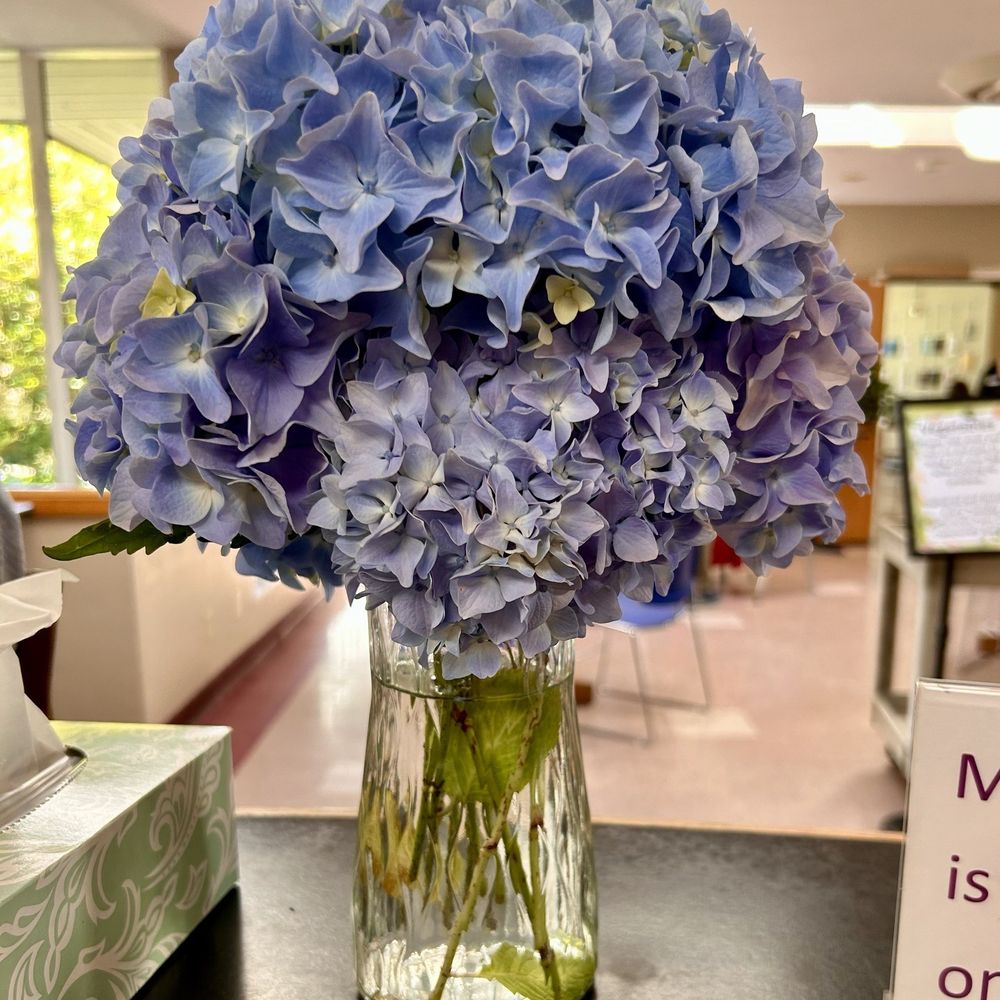 Bellingham Senior Center - Senior Centers Near Me - Bellingham, Washington