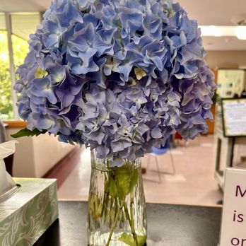 Bellingham Senior Center - Senior Centers Near Me - Bellingham, Washington