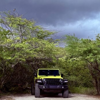 Beep Beep Jeep - Car Rental Near Me - Guaynabo, Puerto Rico Beep Beep Jeep - Car Rental Near Me - Guaynabo, Puerto Rico