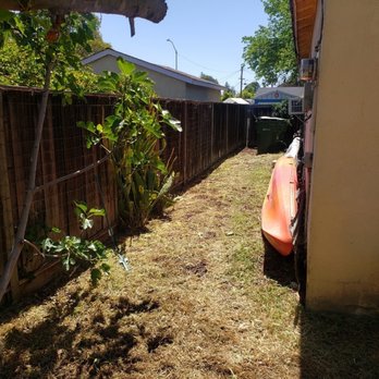 BioGreen Landscape - after - Landscaping Near Me BioGreen Landscape - after - Landscaping Near Me