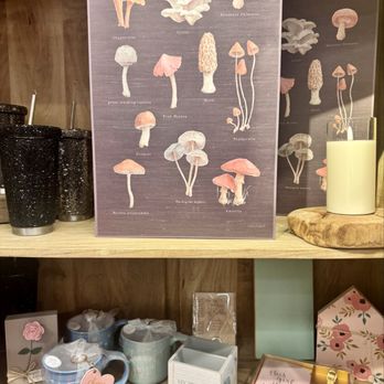 Ivy & Sage Lifestyle Co. - Home Decor Near Me - Mesa, Arizona Ivy & Sage Lifestyle Co. - Home Decor Near Me - Mesa, Arizona