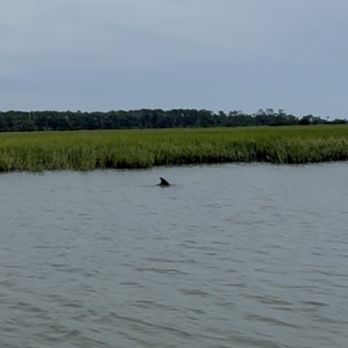 Flipper Finders - Boating Near Me - Folly Beach, South Carolina Flipper Finders - Boating Near Me - Folly Beach, South Carolina
