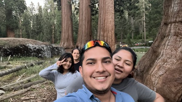 Giant Forest Museum by null