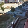 GT OptimoTree Services