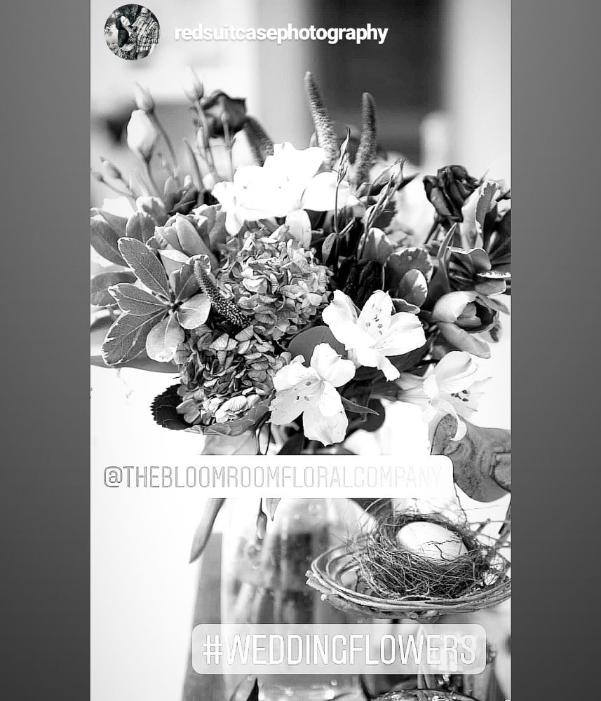 THE BLOOM ROOM FLORAL COMPANY Updated July 2024 7767 wellington rd