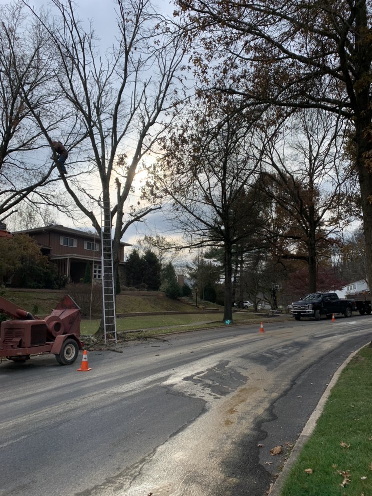 A&J Tree Service - tree service in Harrisburg, PA