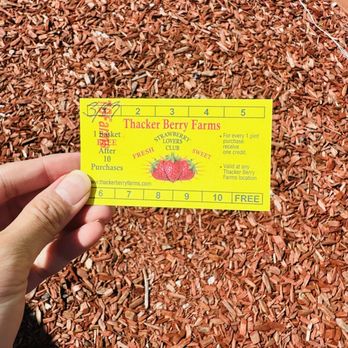 Thacker Berry Farms - They have stamp cards for every pint you purchase (after 10th one, free pint)!! - Farmers Market Near Me - Cypress, California Thacker Berry Farms - They have stamp cards for every pint you purchase (after 10th one, free pint)!! - Farmers Market Near Me - Cypress, California
