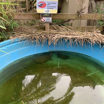 Crocodile Encounter - Zoos Near Me - Angleton, Texas Crocodile Encounter - Zoos Near Me - Angleton, Texas