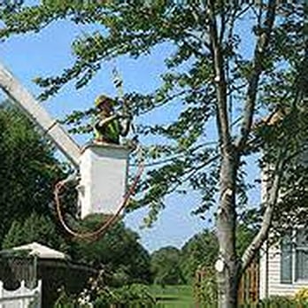 TOR Insurance Services - Tree trimming Contractor Insurance - Auto Insurance Near Me - Fullerton, California TOR Insurance Services - Tree trimming Contractor Insurance - Auto Insurance Near Me - Fullerton, California
