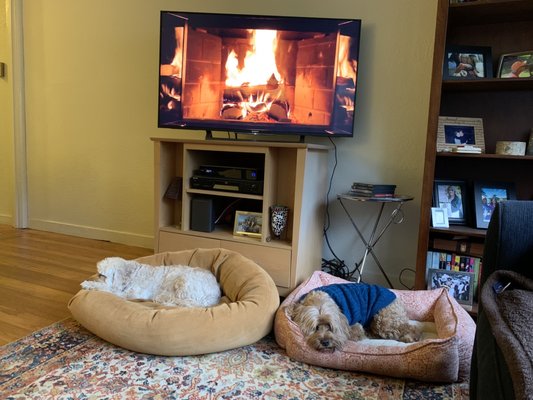 For Your Dogs Only - FYDO Manufacturer of pet beds by null