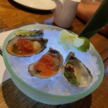 Matsuhisa - Oyster with nobu sauce- delicious- order of 3 and $6 each if you want more than 3. Extremely tiny oysters for $24 - Sushi Bars Near Me - Denver, Colorado