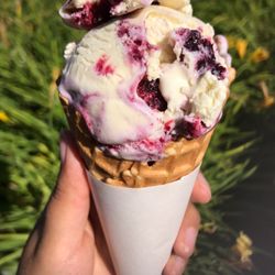 9th and 9th Street Festival - Lavender blueberry icesacream