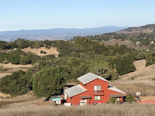 North Sonoma Mountain Regional Park by null