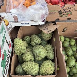 DW Market