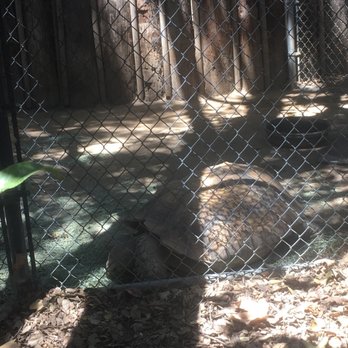 Orange County Zoo - Zoos Near Me - Orange, California