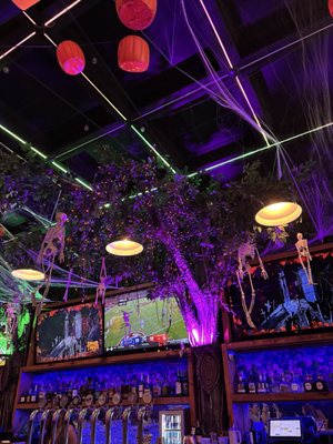 Tree House Chicago by null