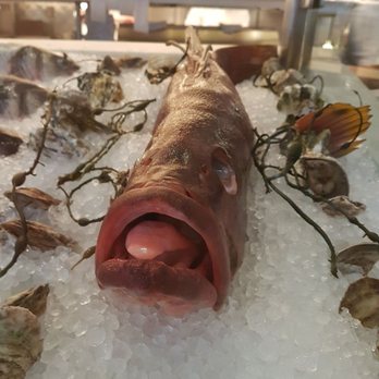 Ostra - Seafood Near Me - Boston, Massachusetts Ostra - Seafood Near Me - Boston, Massachusetts