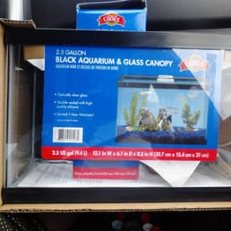 Only $15 for this turtle starter kit. Photo by Carlucho