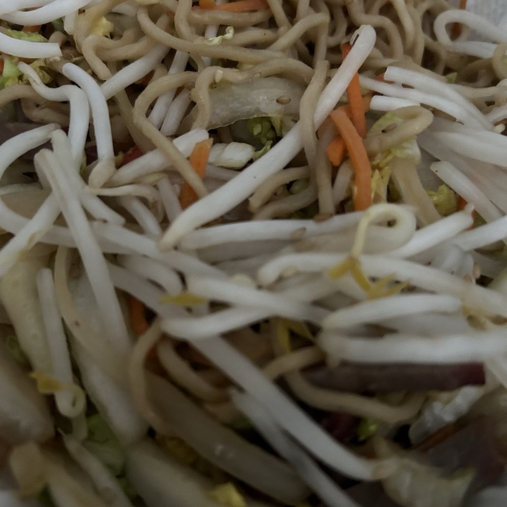 808 Grinds - Da Kine Noodles (fried noodle with LOTS of veggies, char siu, and fish cake) - Food Trucks Near Me - Portland, Oregon