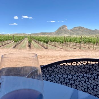 Los Milics Vineyards - tasting room view - Wine Tasting Room Near Me - Elgin, Arizona