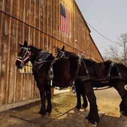 Liberty Farm & Carriage Company