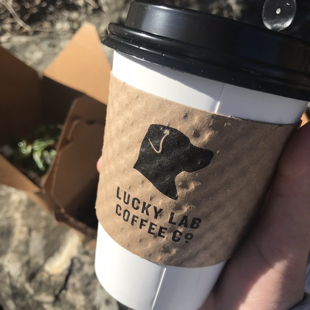 Lucky Lab Coffee - Desserts Near Me - Austin, Texas Lucky Lab Coffee - Desserts Near Me - Austin, Texas