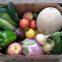 Edwards Farmers Market - Beautiful fresh Colorado produce