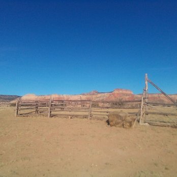 Ghost Ranch - A wooden fence and gate are positioned in a flat, arid desert landscape with sparse vegetation. In the background, there are layered red and brown rock formations under a clear, bright blue sky. The scene appears to be a rural or natural area with no visible structures or people. - Museums Near Me - Abiquiu, New Mexico