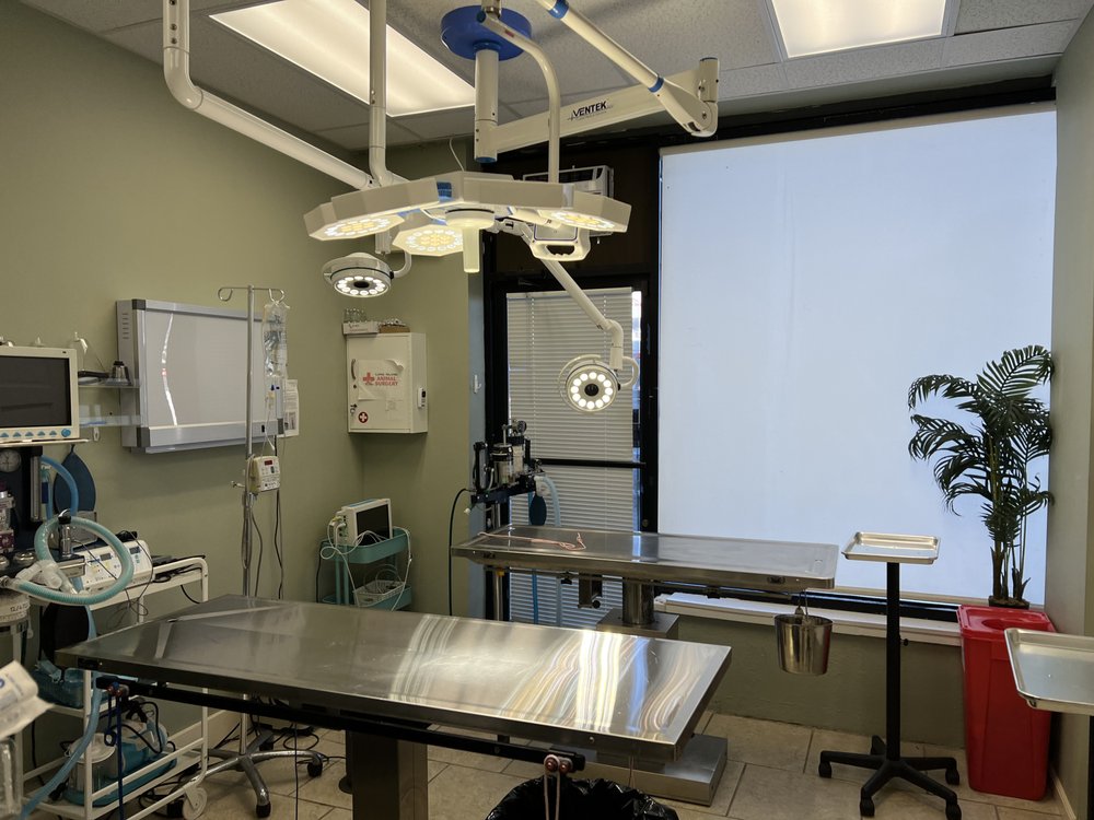 LONG ISLAND ANIMAL SURGERY Updated October 2024 14 Photos & 24