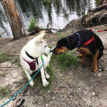 Wolf Lake Park - Parks Near Me - Davie, Florida Wolf Lake Park - Parks Near Me - Davie, Florida