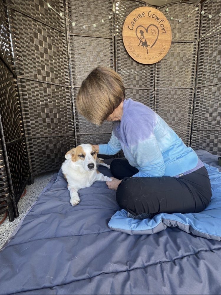 Canine Comfort Massage & Wellness Logo