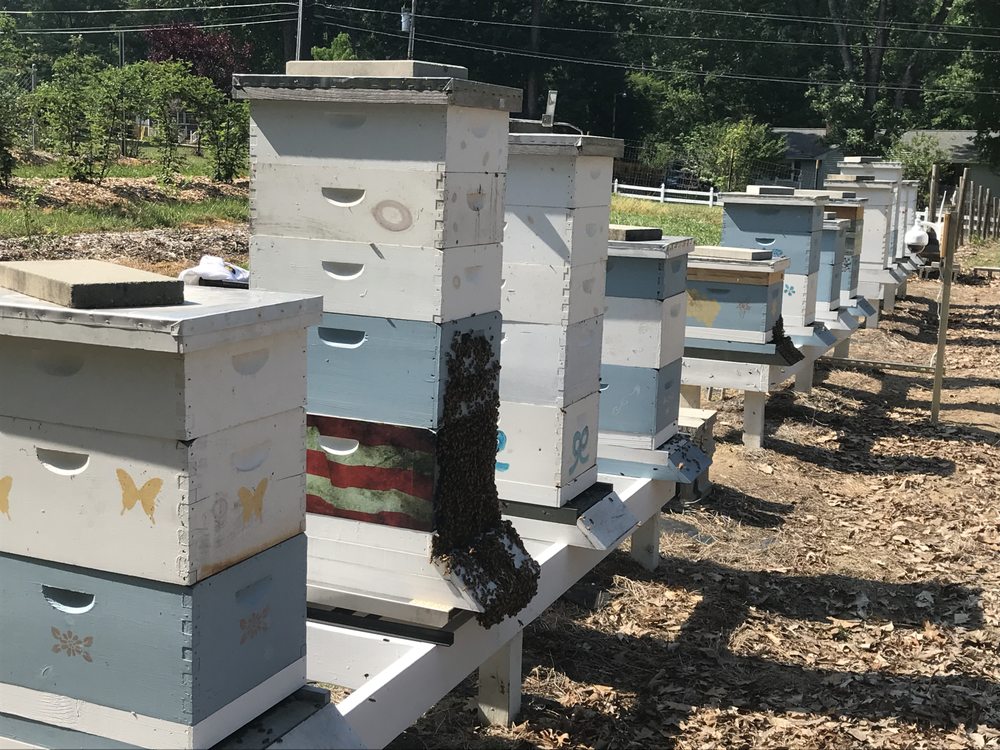 Dogwood Acres Honey - beekeeping in Archer Lodge, NC