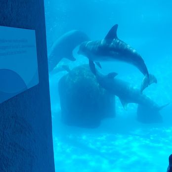 Texas State Aquarium - Aquariums Near Me - Corpus Christi, Texas