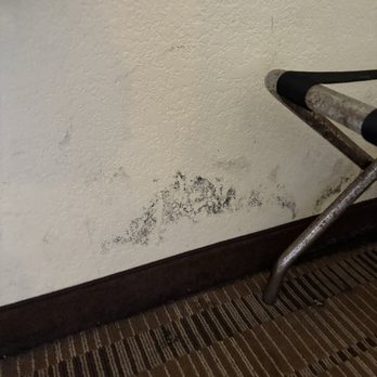 Quality Inn & Suites - Mold on walls. Clearly visible. - Hotels Near Me - Pittsburgh, Pennsylvania