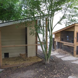 Saltbox Designs - "Walk-In" coop in foreground, Rabbit Hutch in background