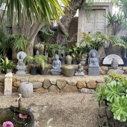 The view of the garden (e.g., missing are two widths that is perpendicular to the side). Very, very pretty with healthy jade plants. The view of the garden (e.g., missing are two widths that is perpendicular to the side). Very, very pretty with healthy jade plants.