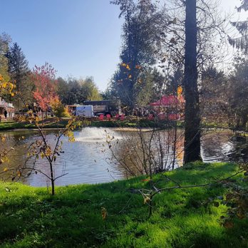 The Pumpkin Patch - Local Flavor Near Me - Richmond, British Columbia